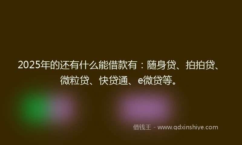 2025年的还有什么能借款有：随身贷、拍拍贷、微粒贷、快贷通、e微贷等。