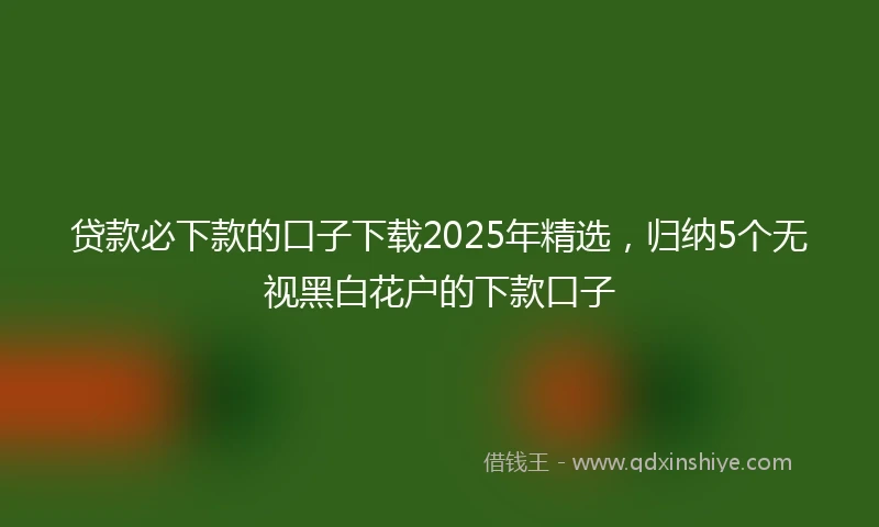 贷款必下款的口子下载2025年精选，归纳5个无视黑白花户的下款口子