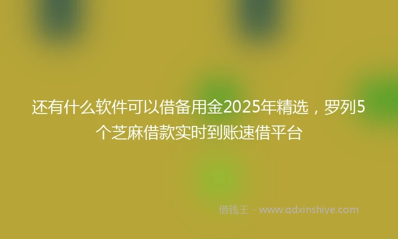 还有什么软件可以借备用金2025年精选，罗列5个芝麻借款实时到账速借平台