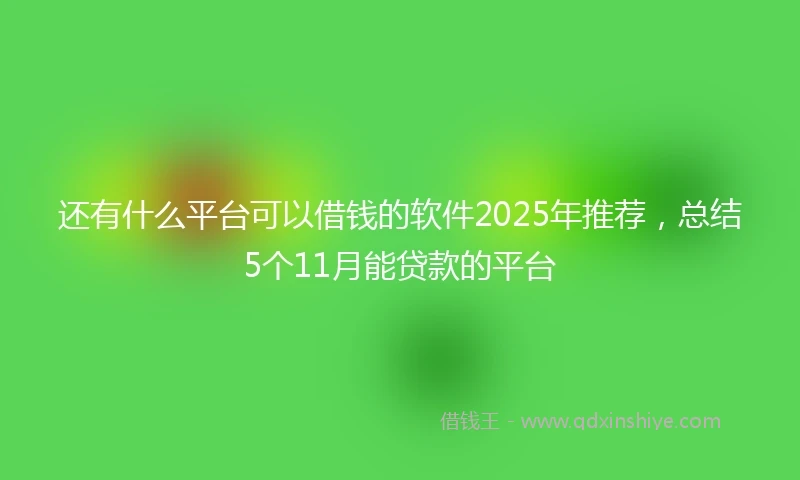 还有什么平台可以借钱的软件2025年推荐，总结5个11月能贷款的平台
