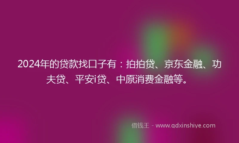 2024年的贷款找口子有：拍拍贷、京东金融、功夫贷、平安i贷、中原消费金融等。