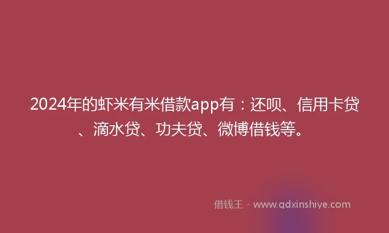 2024年的虾米有米借款app有：还呗、信用卡贷、滴水贷、功夫贷、微博借钱等。