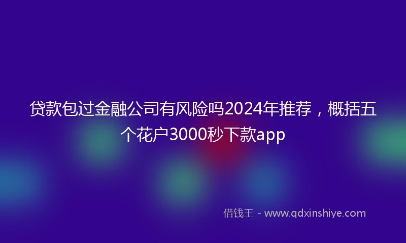 贷款包过金融公司有风险吗2024年推荐，概括五个花户3000秒下款app