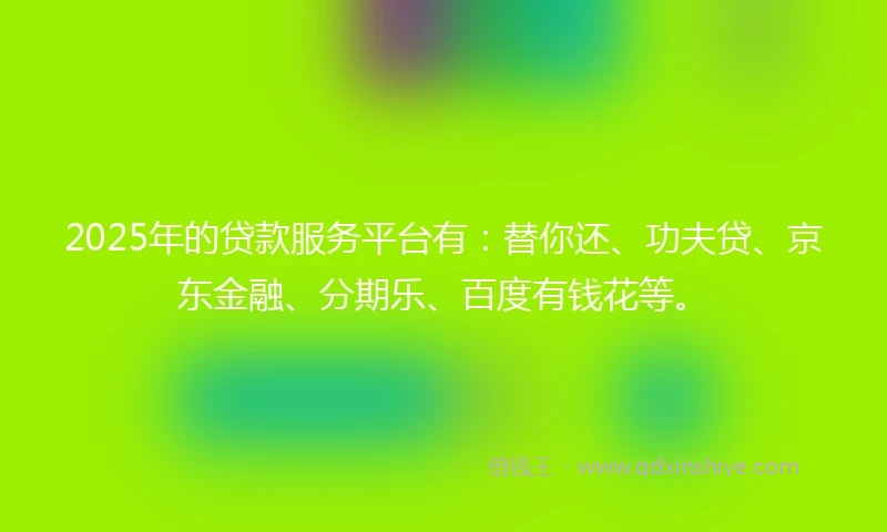 2025年的贷款服务平台有：替你还、功夫贷、京东金融、分期乐、百度有钱花等。