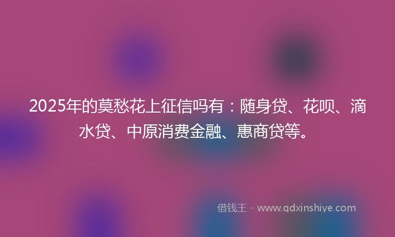 2025年的莫愁花上征信吗有：随身贷、花呗、滴水贷、中原消费金融、惠商贷等。
