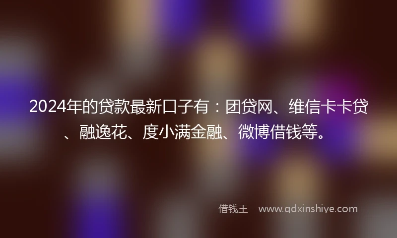 2024年的贷款最新口子有：团贷网、维信卡卡贷、融逸花、度小满金融、微博借钱等。