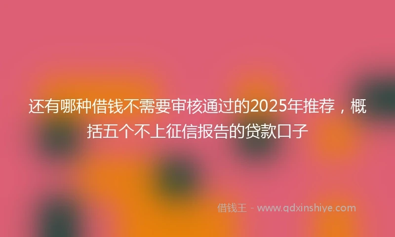 还有哪种借钱不需要审核通过的2025年推荐，概括五个不上征信报告的贷款口子