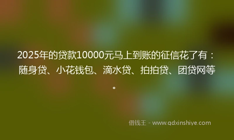 2025年的贷款10000元马上到账的征信花了有：随身贷、小花钱包、滴水贷、拍拍贷、团贷网等。