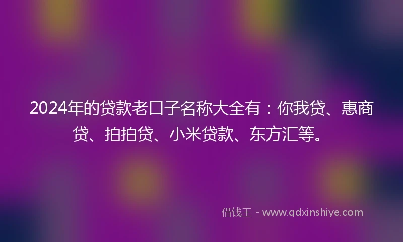 2024年的贷款老口子名称大全有：你我贷、惠商贷、拍拍贷、小米贷款、东方汇等。