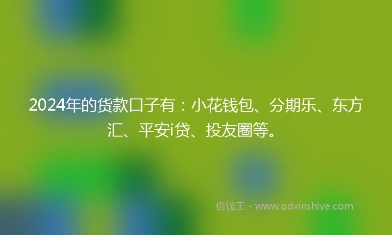 2024年的货款口子有：小花钱包、分期乐、东方汇、平安i贷、投友圈等。