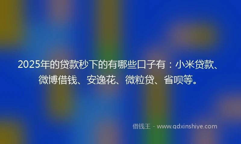 2025年的贷款秒下的有哪些口子有：小米贷款、微博借钱、安逸花、微粒贷、省呗等。
