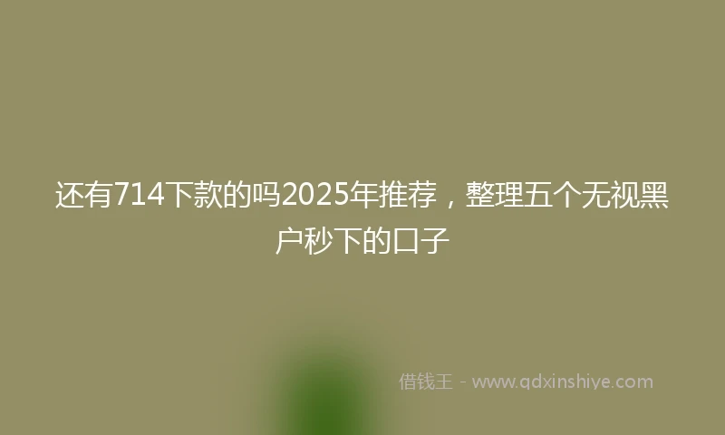 还有714下款的吗2025年推荐，整理五个无视黑户秒下的口子