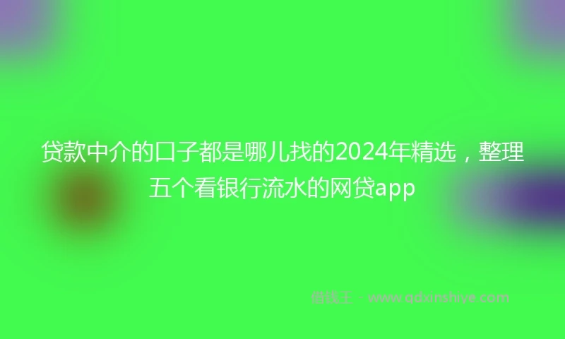 贷款中介的口子都是哪儿找的2024年精选，整理五个看银行流水的网贷app