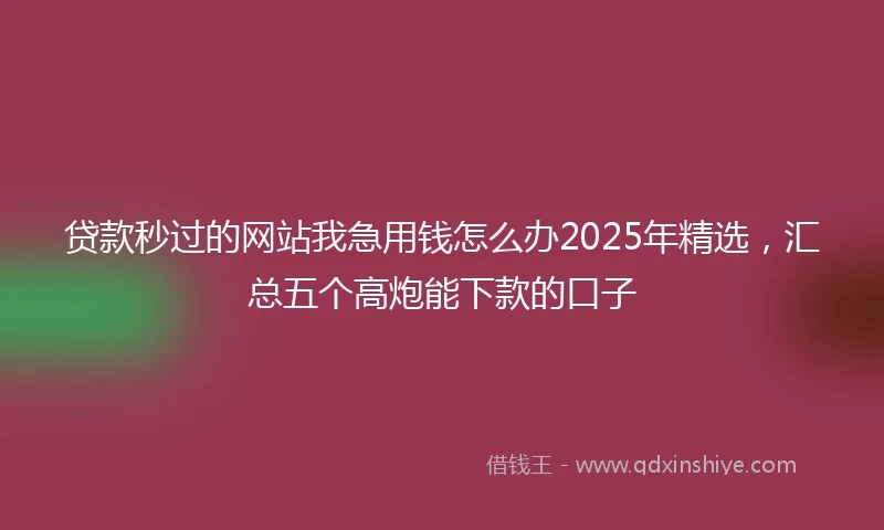贷款秒过的网站我急用钱怎么办2025年精选，汇总五个高炮能下款的口子