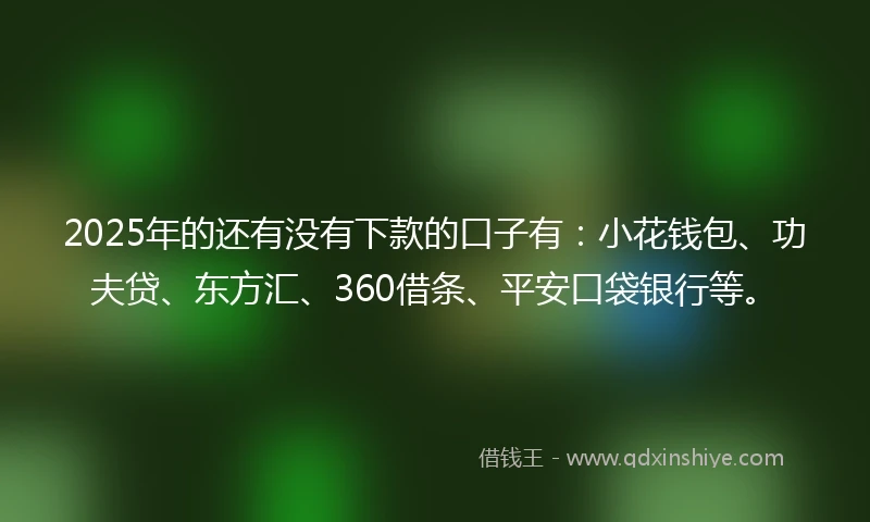 2025年的还有没有下款的口子有：小花钱包、功夫贷、东方汇、360借条、平安口袋银行等。