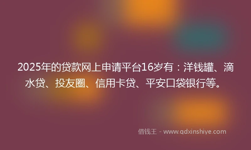 2025年的贷款网上申请平台16岁有：洋钱罐、滴水贷、投友圈、信用卡贷、平安口袋银行等。