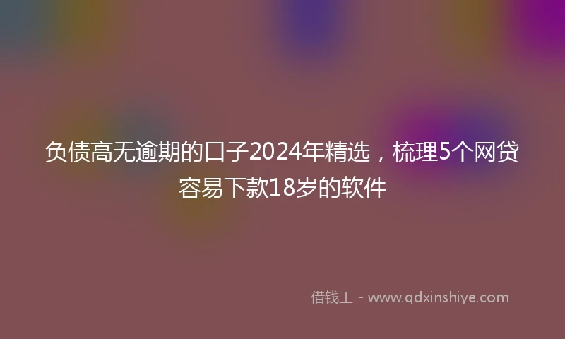 负债高无逾期的口子2024年精选，梳理5个网贷容易下款18岁的软件