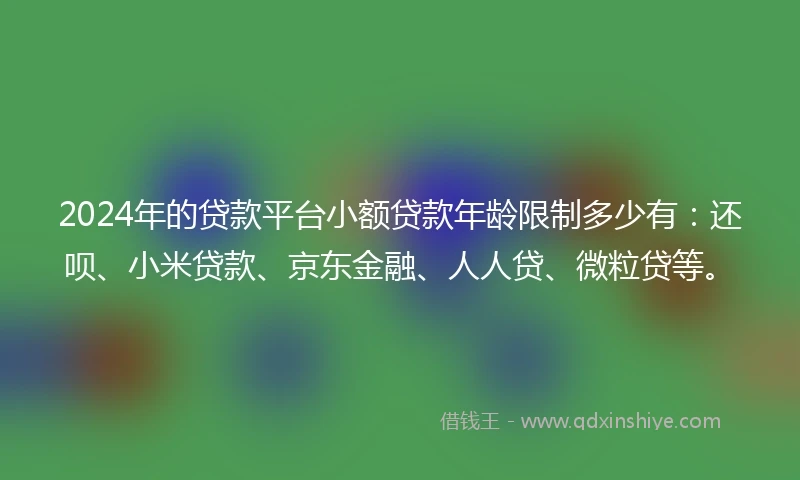 2024年的贷款平台小额贷款年龄限制多少有：还呗、小米贷款、京东金融、人人贷、微粒贷等。