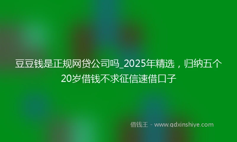 豆豆钱是正规网贷公司吗_2025年精选，归纳五个20岁借钱不求征信速借口子