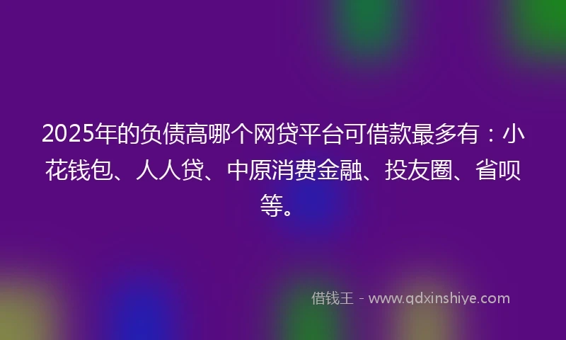 2025年的负债高哪个网贷平台可借款最多有：小花钱包、人人贷、中原消费金融、投友圈、省呗等。