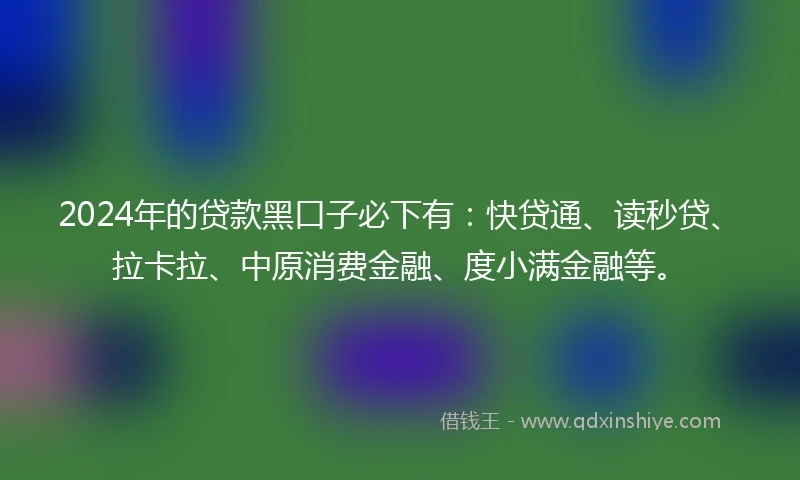 2024年的贷款黑口子必下有：快贷通、读秒贷、拉卡拉、中原消费金融、度小满金融等。