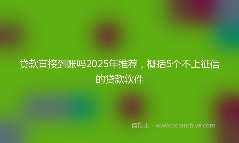 贷款直接到账吗2025年推荐，概括5个不上征信的贷款软件