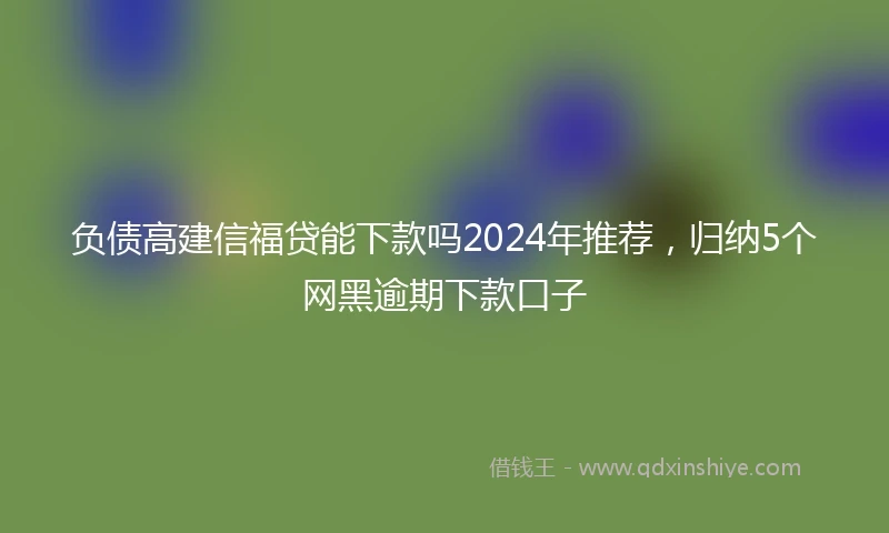 负债高建信福贷能下款吗2024年推荐，归纳5个网黑逾期下款口子