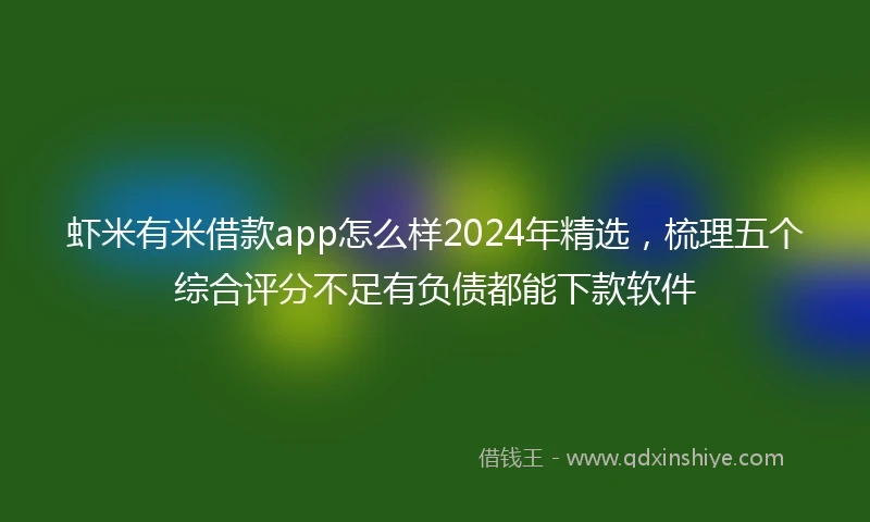 虾米有米借款app怎么样2024年精选，梳理五个综合评分不足有负债都能下款软件