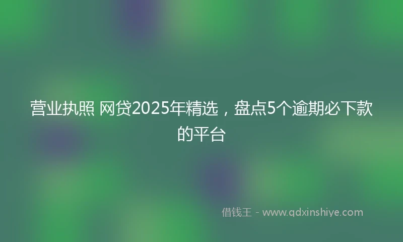 营业执照 网贷2025年精选，盘点5个逾期必下款的平台