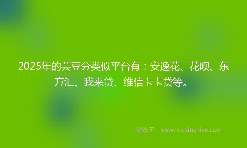 2025年的芸豆分类似平台有：安逸花、花呗、东方汇、我来贷、维信卡卡贷等。