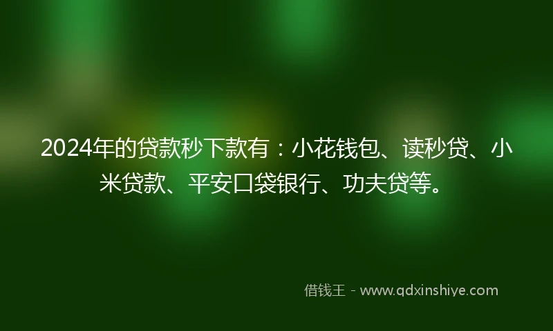 2024年的贷款秒下款有：小花钱包、读秒贷、小米贷款、平安口袋银行、功夫贷等。