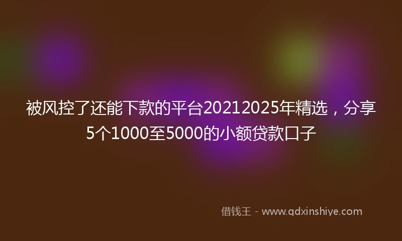 被风控了还能下款的平台20212025年精选，分享5个1000至5000的小额贷款口子