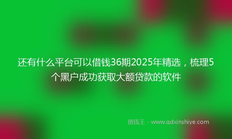 还有什么平台可以借钱36期2025年精选，梳理5个黑户成功获取大额贷款的软件