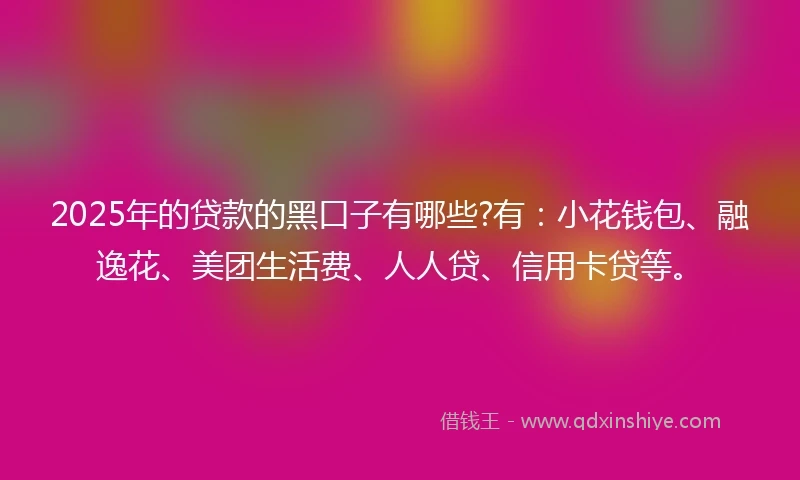 2025年的贷款的黑口子有哪些?有：小花钱包、融逸花、美团生活费、人人贷、信用卡贷等。
