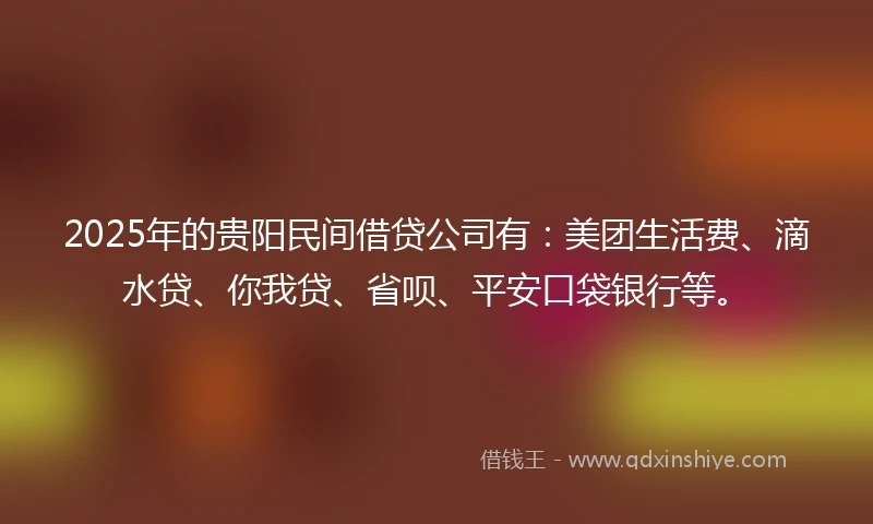 2025年的贵阳民间借贷公司有：美团生活费、滴水贷、你我贷、省呗、平安口袋银行等。