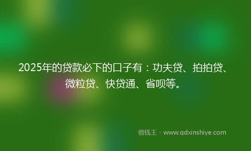 2025年的贷款必下的口子有：功夫贷、拍拍贷、微粒贷、快贷通、省呗等。