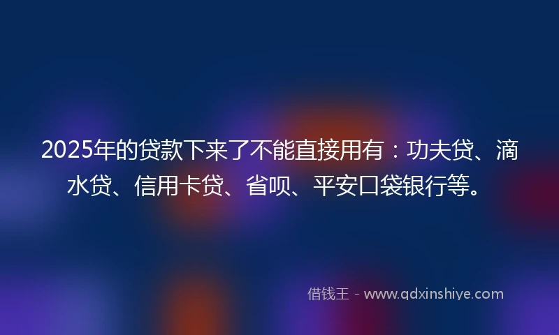 2025年的贷款下来了不能直接用有：功夫贷、滴水贷、信用卡贷、省呗、平安口袋银行等。