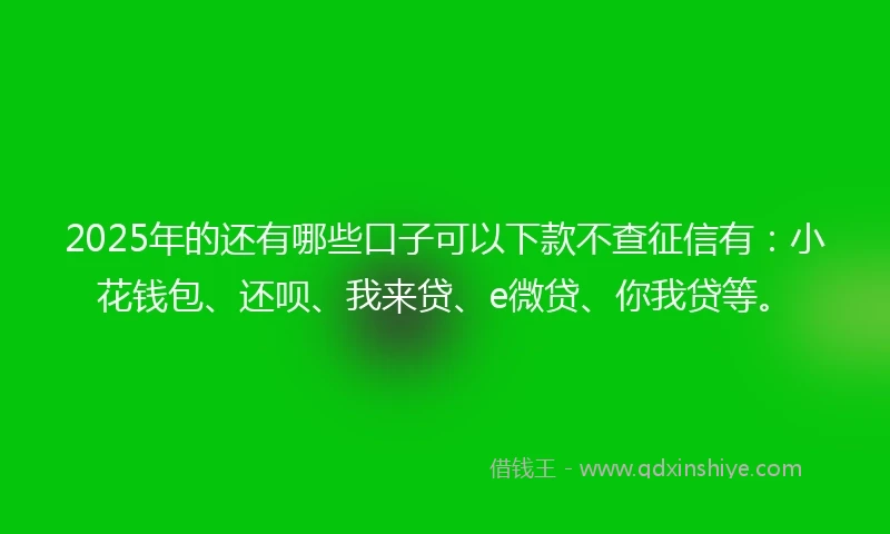 2025年的还有哪些口子可以下款不查征信有：小花钱包、还呗、我来贷、e微贷、你我贷等。