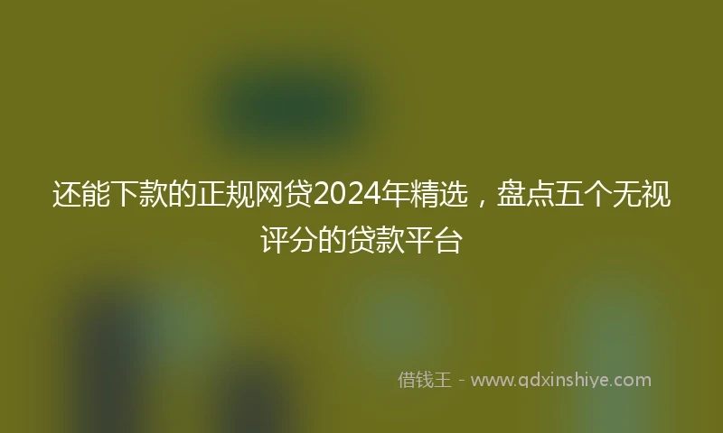还能下款的正规网贷2024年精选，盘点五个无视评分的贷款平台