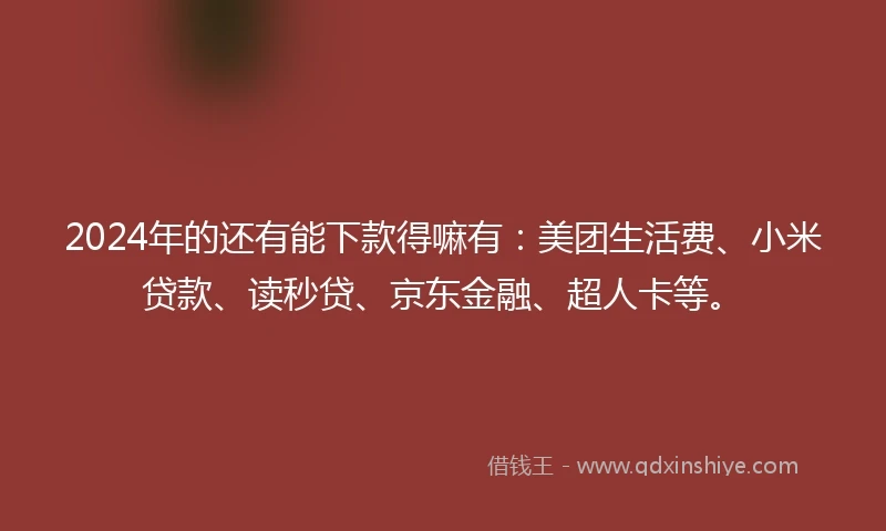 2024年的还有能下款得嘛有：美团生活费、小米贷款、读秒贷、京东金融、超人卡等。