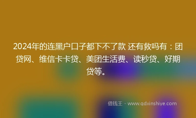 2024年的连黑户口子都下不了款 还有救吗有：团贷网、维信卡卡贷、美团生活费、读秒贷、好期贷等。