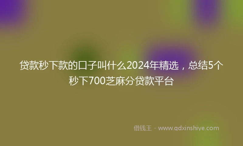 贷款秒下款的口子叫什么2024年精选,总结5个秒下700芝麻分贷款平台
