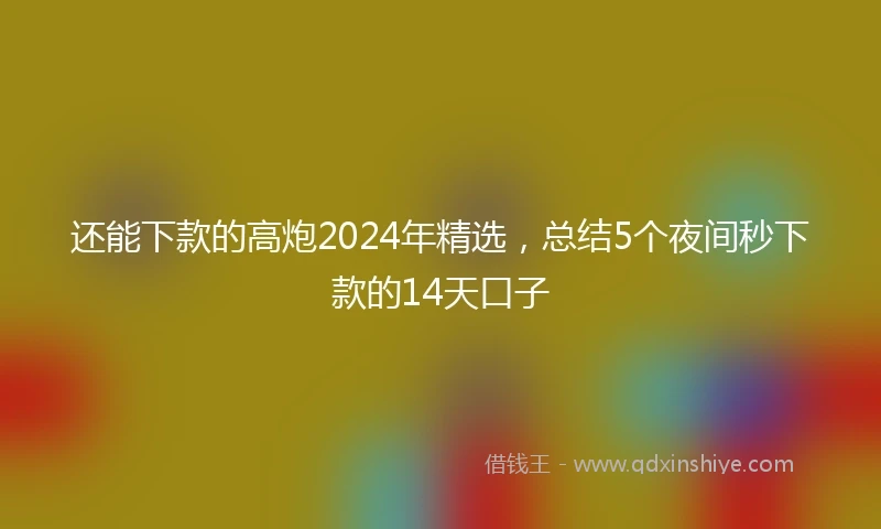 还能下款的高炮2024年精选，总结5个夜间秒下款的14天口子