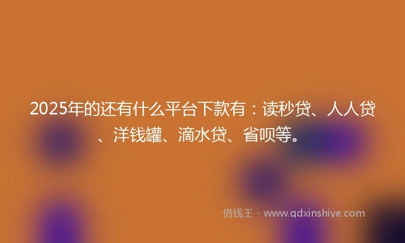 2025年的还有什么平台下款有：读秒贷、人人贷、洋钱罐、滴水贷、省呗等。