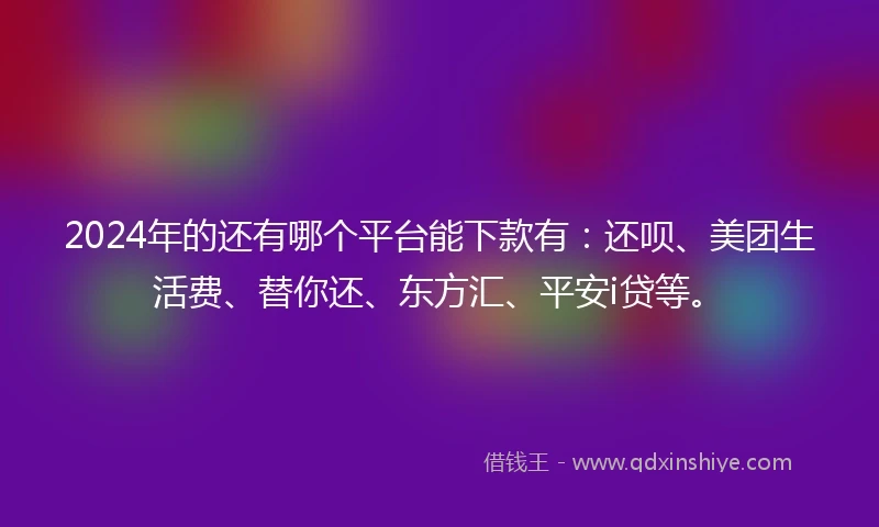2024年的还有哪个平台能下款有：还呗、美团生活费、替你还、东方汇、平安i贷等。