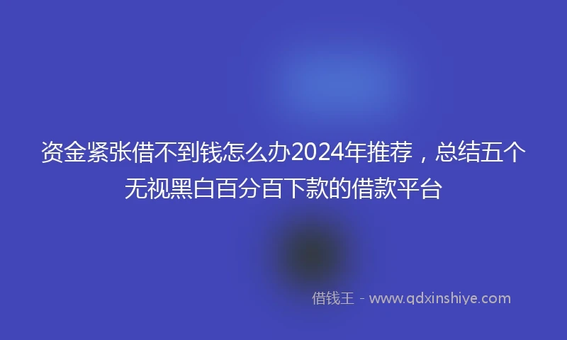资金紧张借不到钱怎么办2024年推荐，总结五个无视黑白百分百下款的借款平台