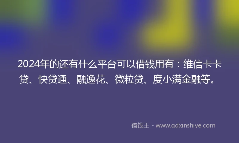 2024年的还有什么平台可以借钱用有：维信卡卡贷、快贷通、融逸花、微粒贷、度小满金融等。
