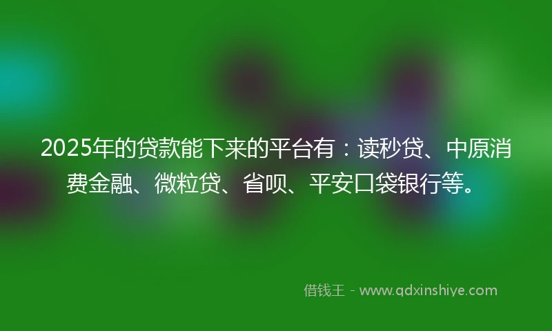 2025年的贷款能下来的平台有：读秒贷、中原消费金融、微粒贷、省呗、平安口袋银行等。
