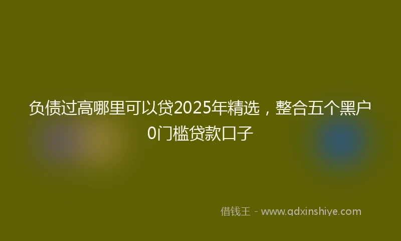 负债过高哪里可以贷2025年精选，整合五个黑户0门槛贷款口子