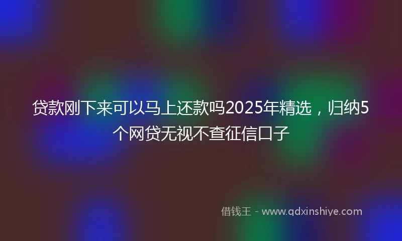 贷款刚下来可以马上还款吗2025年精选，归纳5个网贷无视不查征信口子